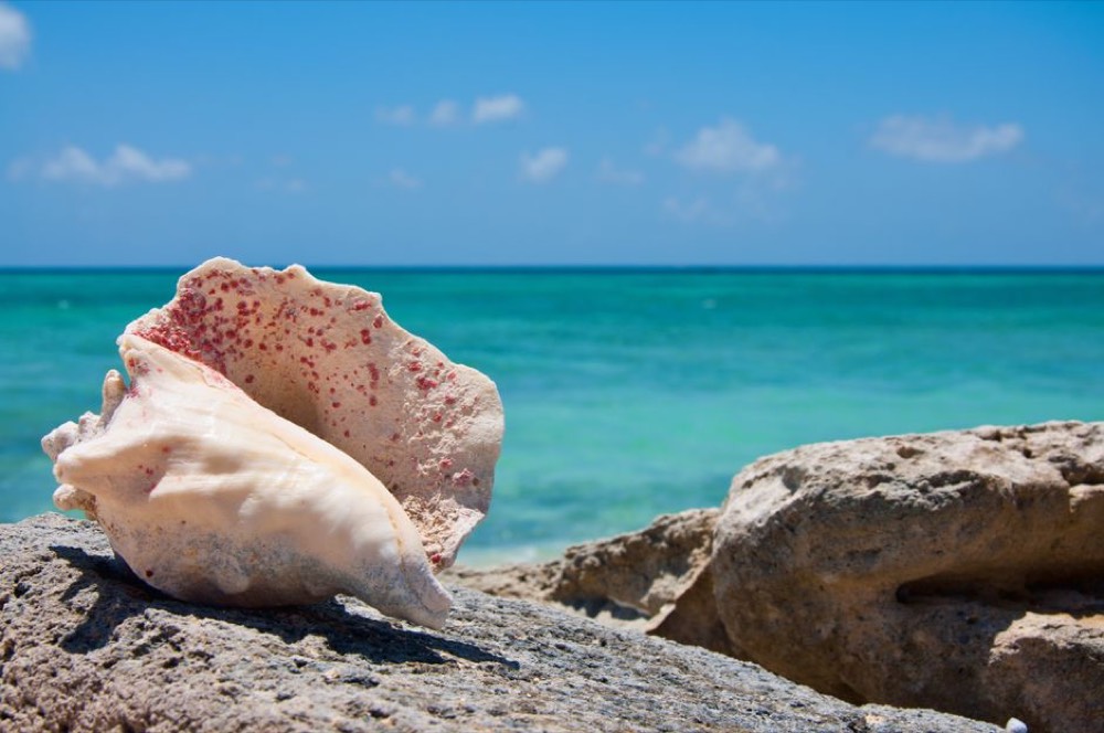 Smith's Reef